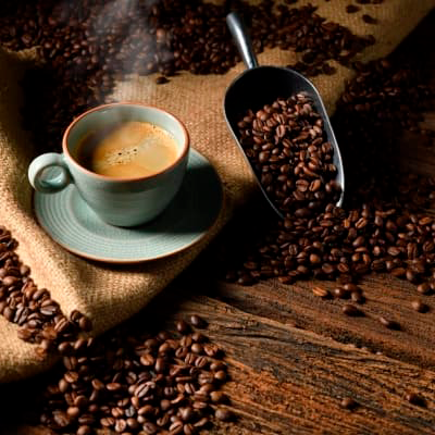 Café omnis molestiae modi