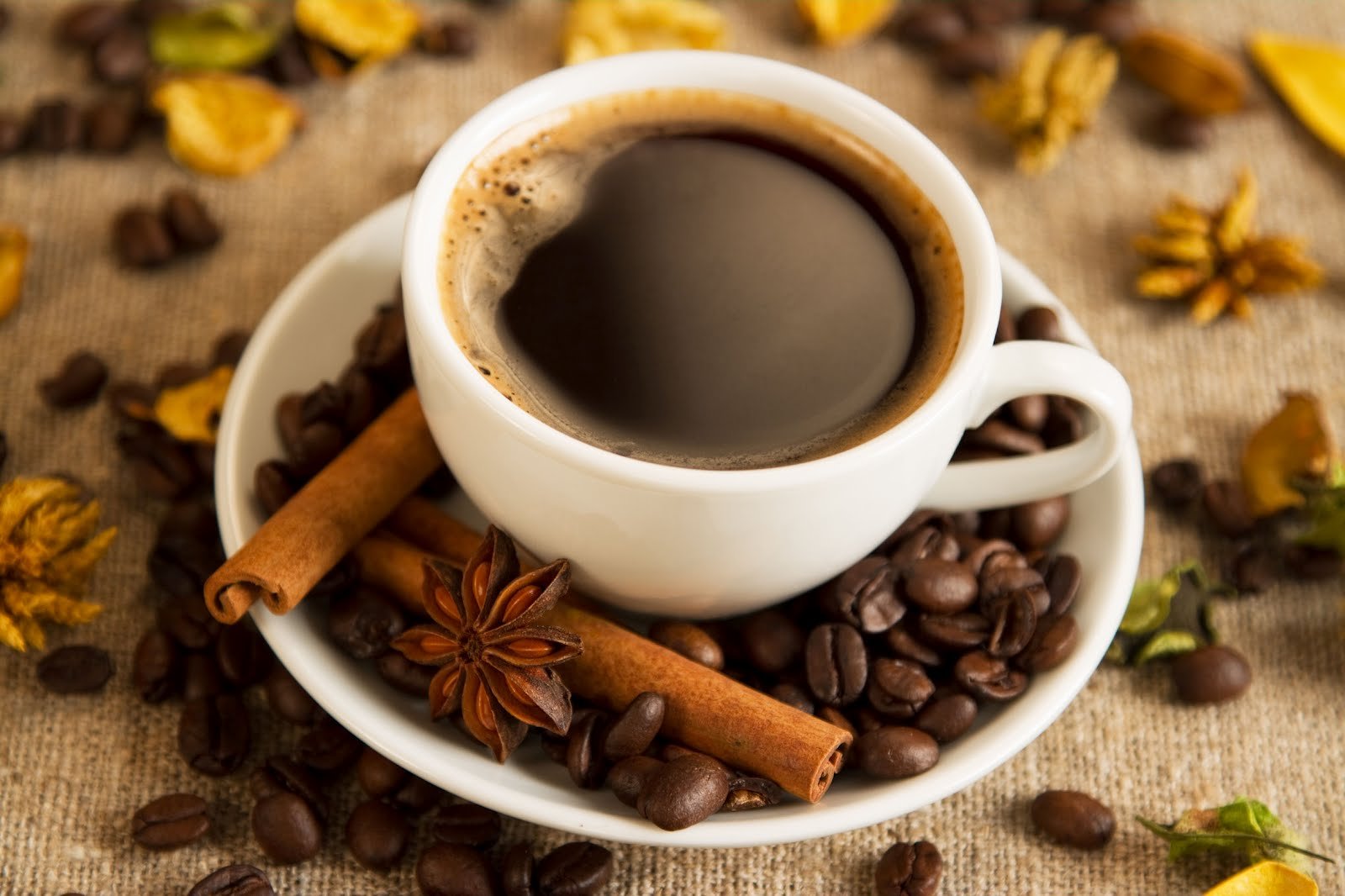 Tesoro Geisha